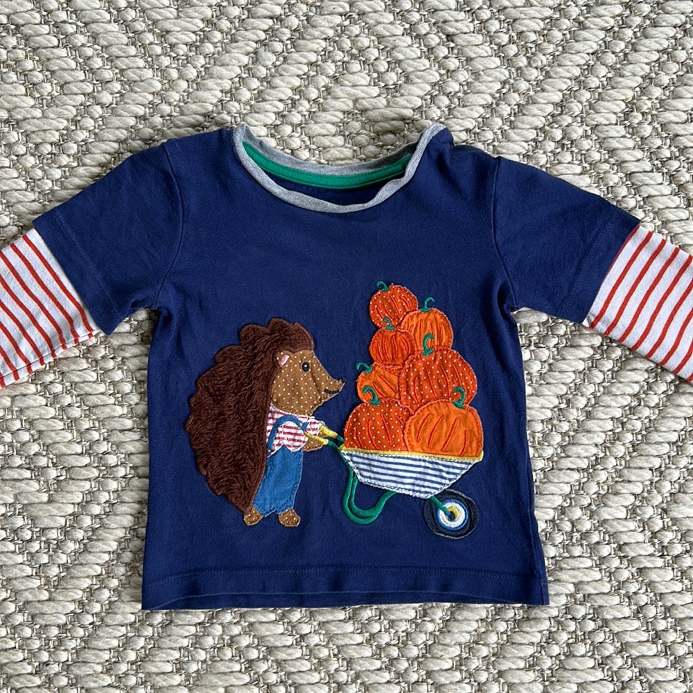 Baby Boden Fall/Pumpkin Appliqué Long Sleeve T-Shirt (12-18 months)